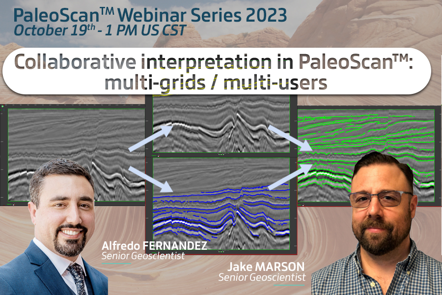 Collaborative interpretation in PaleoScan™: multi-grids / multi-users