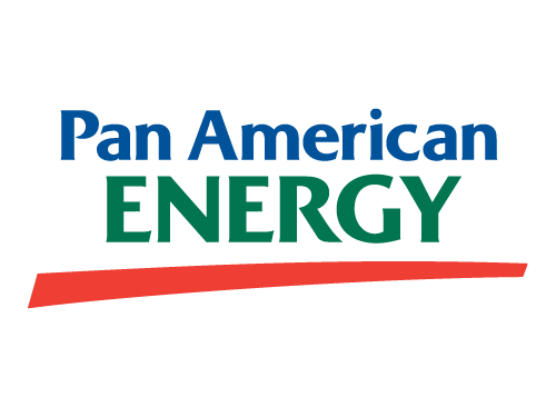 Geophysical Manager - Pan American Energy, Argentina