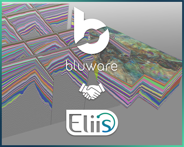 Strategic Collaboration to Accelerate Subsurface Interpretation Cycle Time