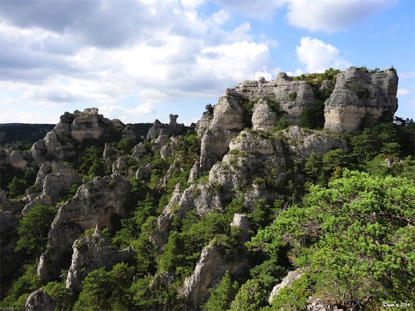 Ruiniforme landscape, Montpellier-le-Vieux, France