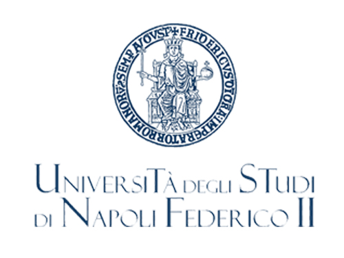 UNIVERSITA DEGLI STUDI DI NAPOLI FEDERICO II